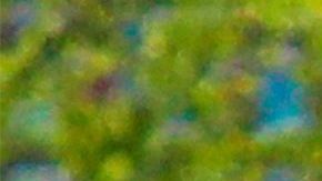 Los asistentes al evento ya han sido avisados.