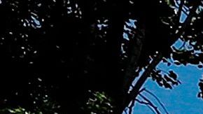 Los lugares de culto podrán llenar hasta el 25% de su capacidad.