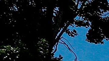 Los lugares de culto podrán llenar hasta el 25% de su capacidad.