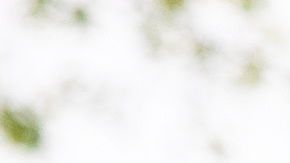 Cuatro compañeros tuvieron que hacer cuarentena.