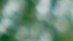 Trump no quiere votos por correo extendidos.