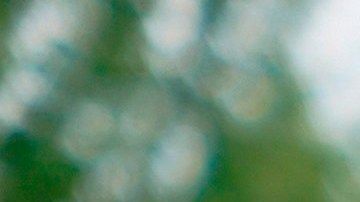 Trump no quiere votos por correo extendidos.