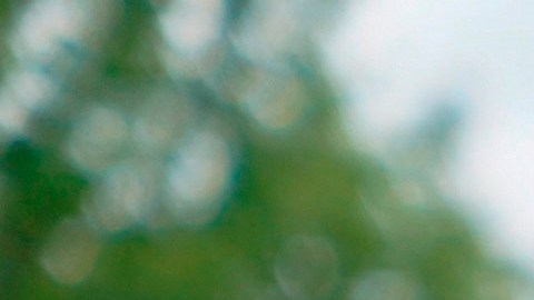 Trump no quiere votos por correo extendidos.