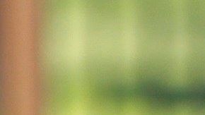 El hombre perdió su empleo por cometer tal imprudencia.