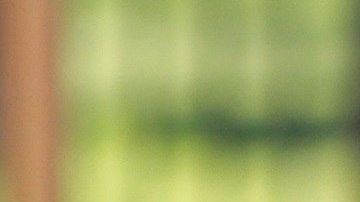 El hombre perdió su empleo por cometer tal imprudencia.