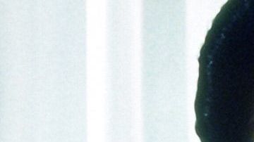 María Rubio "Catalina Creel"