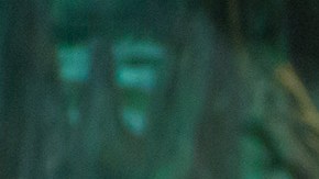 Caimán en zoológico de Moscú.