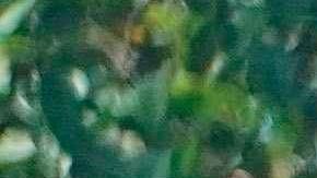 Imagen del 1 de mayo de 2020 de la preparación de una olla común para personas necesitadas en Santa Cruz (Bolivia). Las ollas comunes son un alivio para muchos bolivianos a los que la cuarentena complica aún más su situación precaria en ciudades como Santa Cruz. EFE/Juan Carlos Torrejón