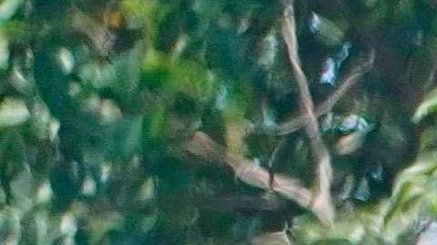 Imagen del 1 de mayo de 2020 de la preparación de una olla común para personas necesitadas en Santa Cruz (Bolivia). Las ollas comunes son un alivio para muchos bolivianos a los que la cuarentena complica aún más su situación precaria en ciudades como Santa Cruz. EFE/Juan Carlos Torrejón