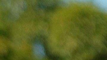 El presidente de Brasil, Jair Bolsonaro.