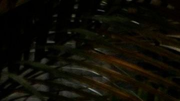 Miembros del ejército brasileño desinfectan una unidad médica en Río de Janeiro.