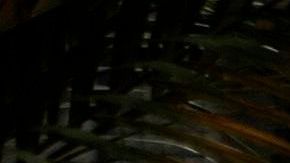 Miembros del ejército brasileño desinfectan una unidad médica en Río de Janeiro.