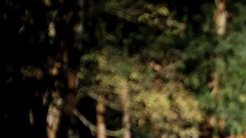 Uno de los sepultureros de Vila Formosa, el mayor cementerio de América Latina.