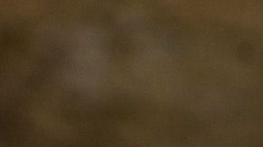 CARAMBOLA-christian ananta en Pixabay