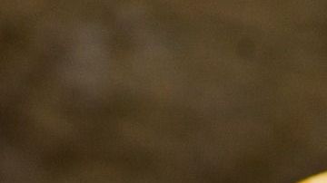 CARAMBOLA-christian ananta en Pixabay