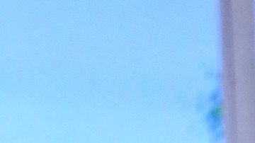 Carmen Villalobos vive la cuarentena acompañada de su pareja y mascotas.