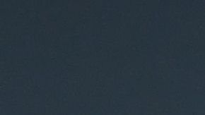 Chris Evans ama a su perro, pero el corte de pelo no le salió.