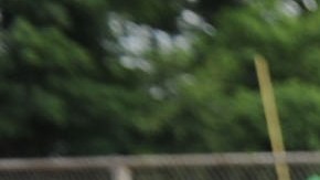 Luego de dos años de suspensiones por la pandemia, los programas se revitalizan en la Gran Manzana.