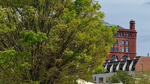 Policía NYPD en ‘Chelsea Pier’, 2020.