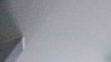 Médicos realizan este miércoles la prueba de un prototipo de ventilador mecánico portátil en un cerdo, el dispositivo que hasta el momento ha dado resultados positivos luego de una serie de validaciones y protocolos podría ser usado en pacientes COVID-19, en San José, Costa Rica.