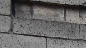 El Programa de Alivio para la Renta también fue criticado porque excluyó a los inquilinos indocumentados.