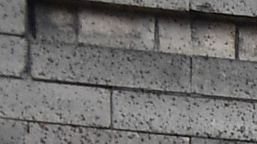 El Programa de Alivio para la Renta también fue criticado porque excluyó a los inquilinos indocumentados.