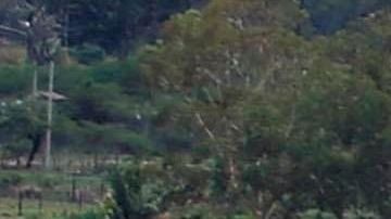 Centro Penitenciario Nacional de Tamara, al norte de Tegucigalpa.