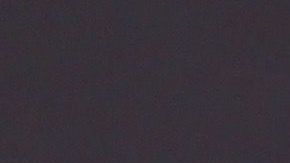 David Zepeda piensa que parte de la felicidad consiste en tener animales de compañía.