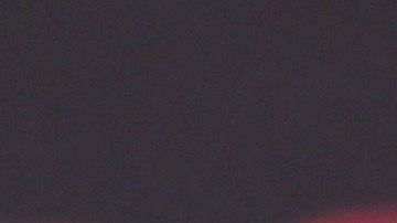 David Zepeda piensa que parte de la felicidad consiste en tener animales de compañía.