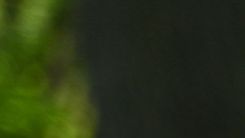 Bill de Blasio confía en que la Gran Manzana pueda reabrir en la primera mitad de junio.