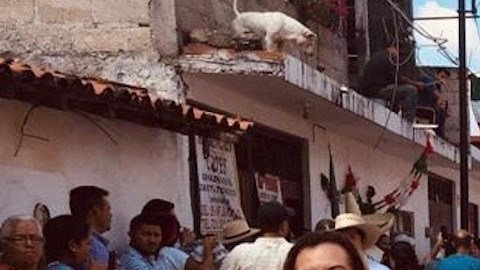 Dos comunidades totalmente integradas. Aquí en el ultimo desfile realizado en Tonatico, paralelo a otro en Waukegan.