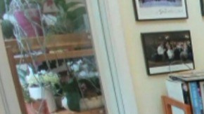 Anthony Fauci durante su comparecencia ante los senadores.