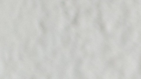 Fidelis Care tiene varias opciones de seguro médico disponibles.