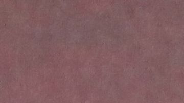 Sarah Hyland y Wells Adams están felices con su nueva casa.