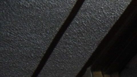 Edward Niño Hernandez , cuando ganó el récord de hombre más pequeño en 2010.