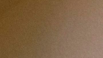 Ayuda cheque inmigrantes familias mixtas Ley CARES MALDEF CORONAVIRUS