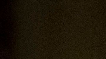 Elon Musk cumplió su palabra y ya comenzó a vender sus lujosas mansiones.