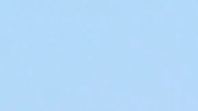 Los visitantes del parque Yellowstone deben permanecer a más de 90 metros de animales como el bisonte.