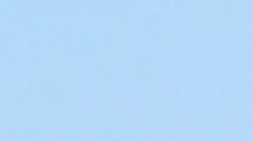 Los visitantes del parque Yellowstone deben permanecer a más de 90 metros de animales como el bisonte.