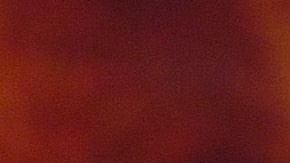 Lindsey Vonn no ha desaprovechado el tiempo durante el confinamiento.