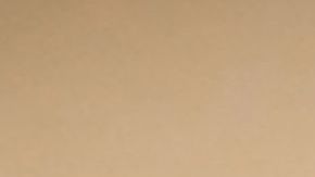 Un avispón asiático vuela el 14 de septiembre de 2019 en Loue, en el noroeste de Francia.