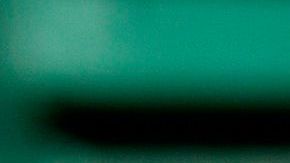 El 'Baby Shark' de Gerardo Parra fue el grito de batalla de los Nats en 2019.