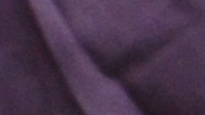 CDC sugiere mantenerse alejados de las ratas.