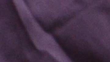 CDC sugiere mantenerse alejados de las ratas.