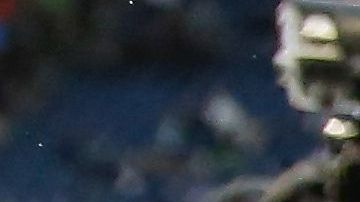 Earl Thomas fue confrontado por su esposa al descubrirlo en una infidelidad.