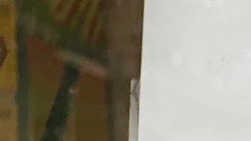 Las P-EBT funcionan igual a las EBT.