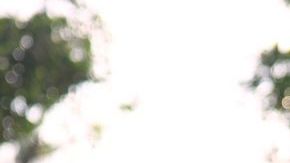 Javier 'Chicharito' Hernández en un entrenamiento con Los Ángeles Galaxy.