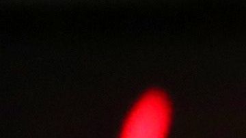 Gavin Newsom, gobernador de California.