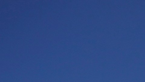 La poligamia está prohibida desde 1890 para los integrantes de la Iglesia Mormona.