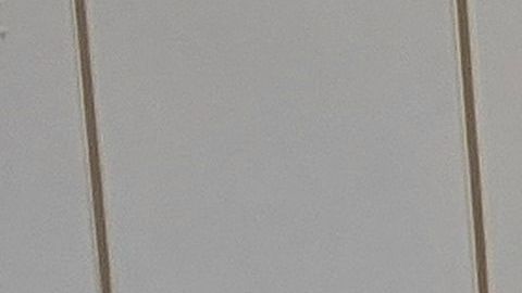 19 casos de coronavirus están relacionadas con las elecciones de abril en Wisconsin.